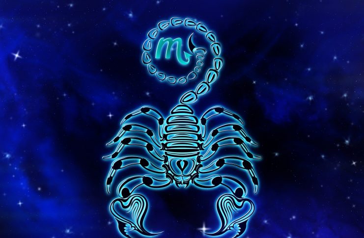 Zodia Scorpion