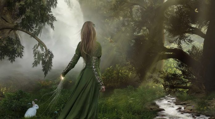 Zodiacul druidic Zodiacul druidic