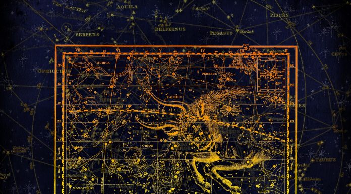 Compatibilitățile zodiei Taur cu toate zodiile Taur