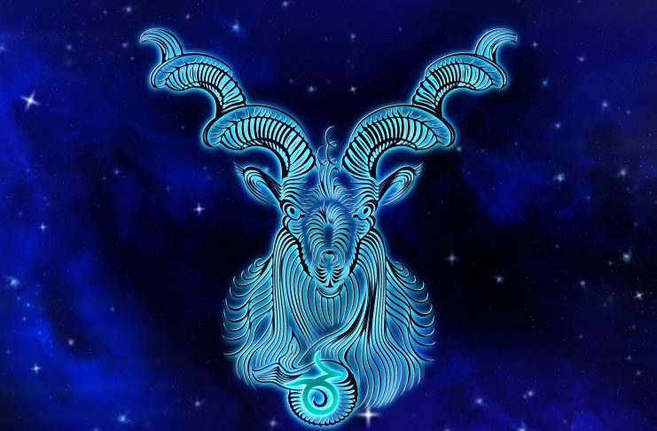 Descendent in Capricorn