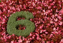 Vibrația numărului 6 în numerologie Vibratia numarului 6 in numerologie