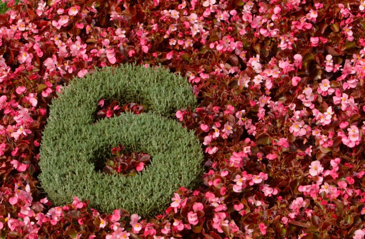 Vibratia numarului 6 in numerologie