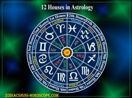 Casele terestre in astrologie