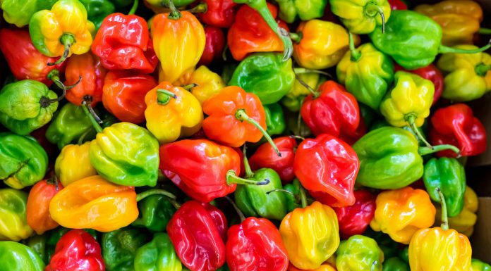 Interpretare vis în care apare ardei Ardei