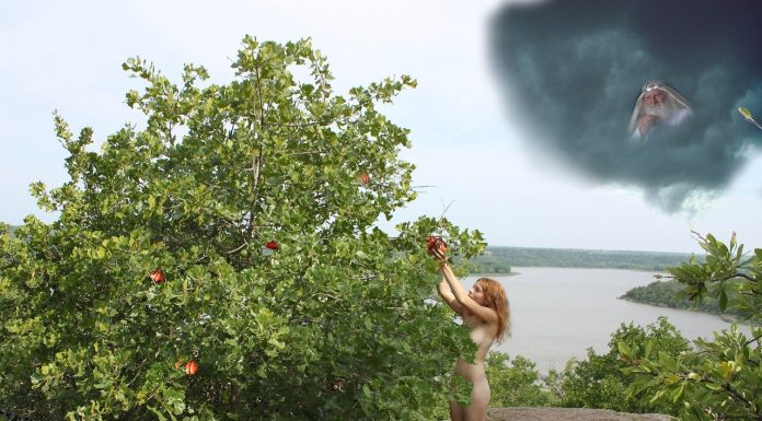 Interpretare vis in care apar Adam si Eva