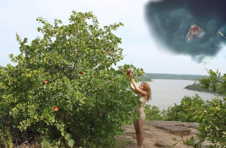 Interpretare vis in care apar Adam si Eva