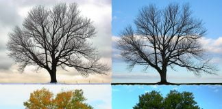 Interpretare vis in care apar anotimpuri