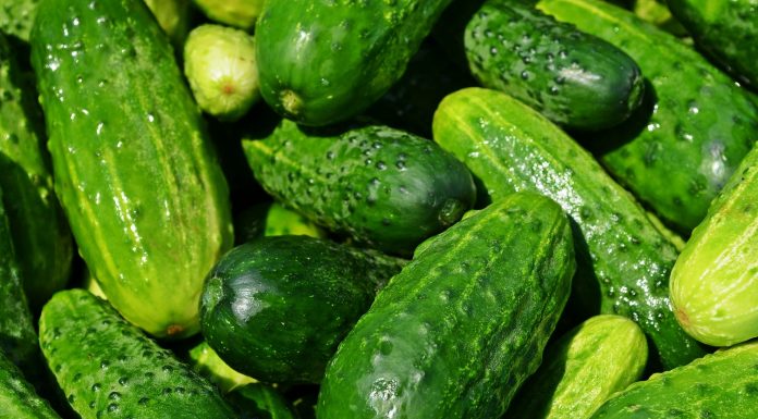 Interpretare vis în care apar castraveti Interpretare vis in care apar castraveti