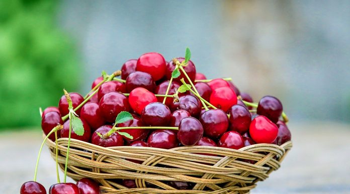 Interpretare vis în care apar cireșe Interpretare vis in care apar cirese