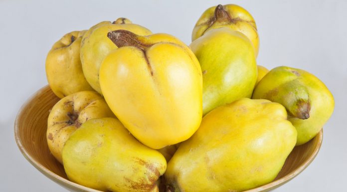 Interpretare vis in care apar gutui