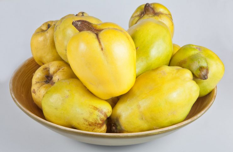 Interpretare vis in care apar gutui