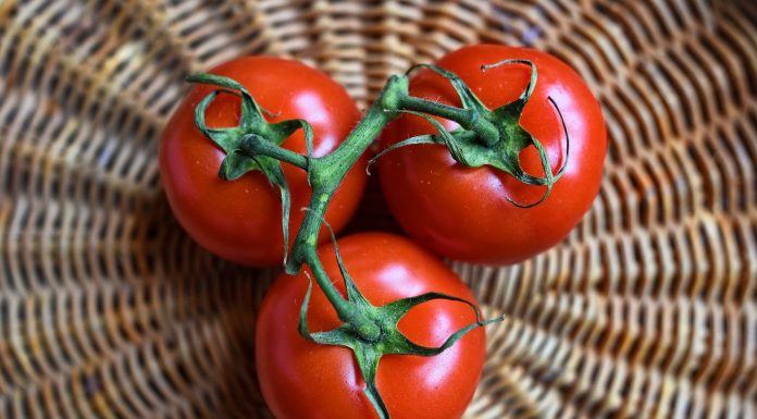 Interpretare vis în care apar tomate Interpretare vis in care apar tomate