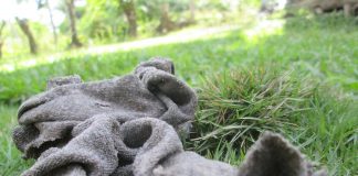 Interpretare vis in care apar zdrente