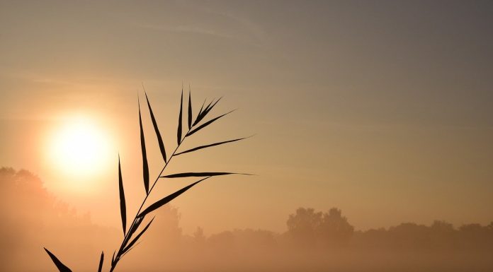 Interpretare vis în care apar zorile Interpretare vis in care apar zorile