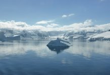 Interpretare vis în care apare Antarctica Interpretare vis in care apare Antarctica