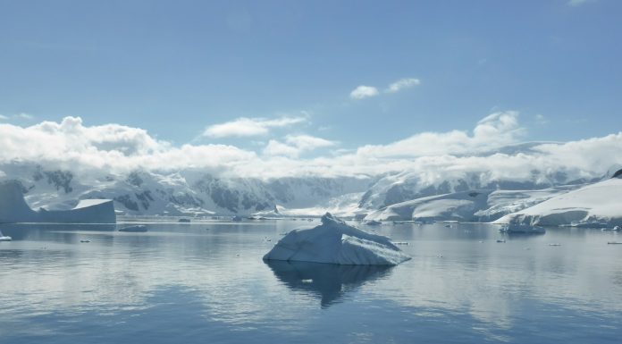 Interpretare vis in care apare Antarctica