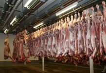 Interpretare vis in care apare abator