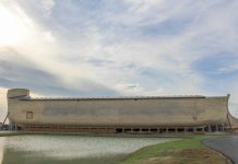 Interpretare vis în care apare arca lui Noe Interpretare vis in care apare arca lui Noe