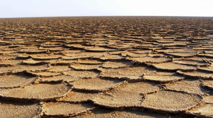 Interpretare vis în care apare arid Interpretare vis in care apare arid