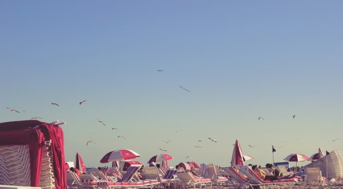 Interpretare vis în care apare arsiță Interpretare vis in care apare arsita