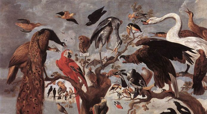 Interpretare vis in care apare batjocura