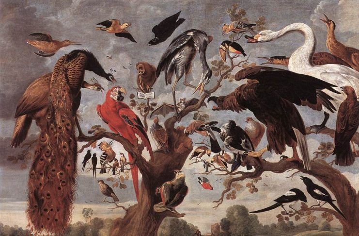 Interpretare vis in care apare batjocura