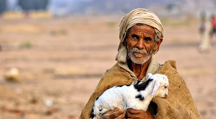 Interpretare vis în care apare beduin Interpretare vis in care apare beduin