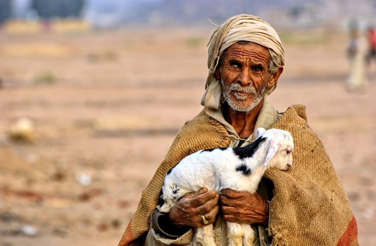 Interpretare vis in care apare beduin