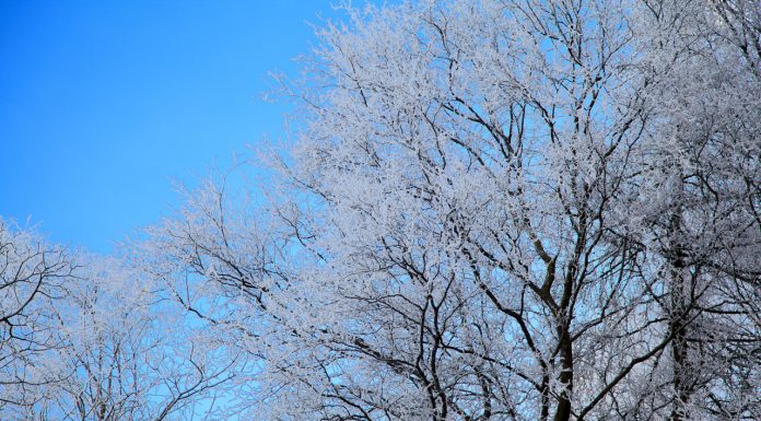 Interpretare vis în care apare chiciură Interpretare vis in care apare chiciura