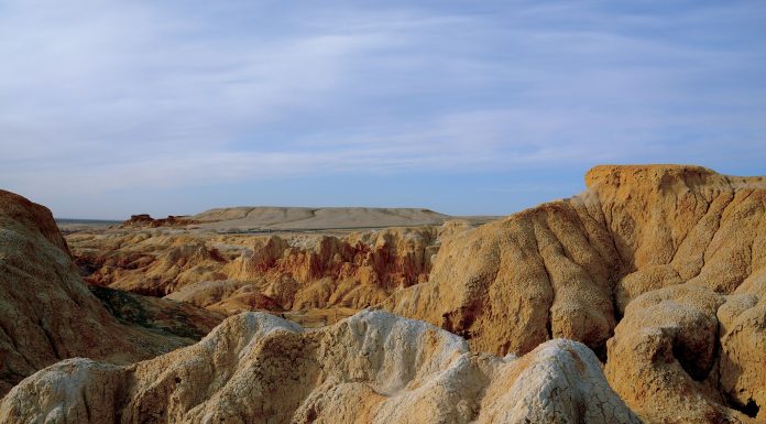 Interpretare vis in care apare culoarea kaki