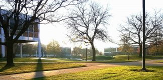 Interpretare vis in care apare dimineata