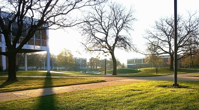 Interpretare vis in care apare dimineata