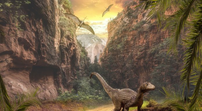 Interpretare vis in care apare dinozaur