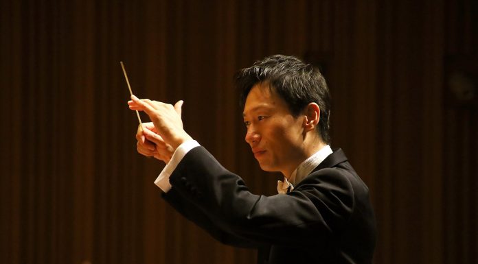 Interpretare vis in care apare dirijor