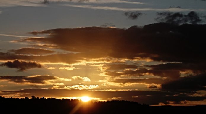 Interpretare vis in care apare disparea