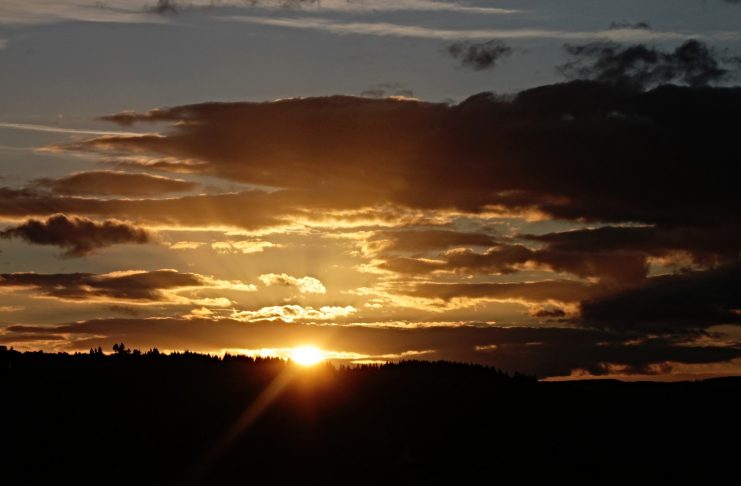 Interpretare vis in care apare disparea