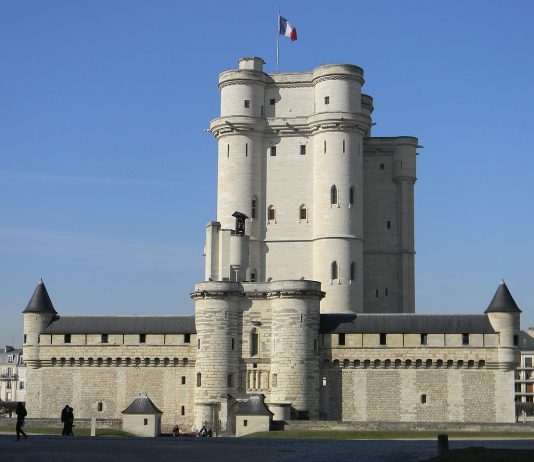 Interpretare vis in care apare donjon