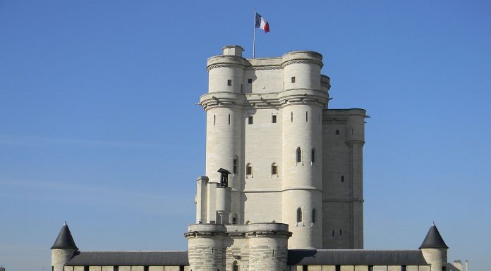 Interpretare vis in care apare donjon