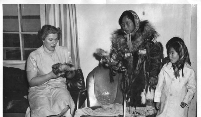 Interpretare vis în care apare eschimos Interpretare vis in care apare eschimos