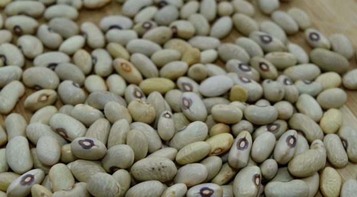 Interpretare vis în care apare fasole Interpretare vis in care apare fasole