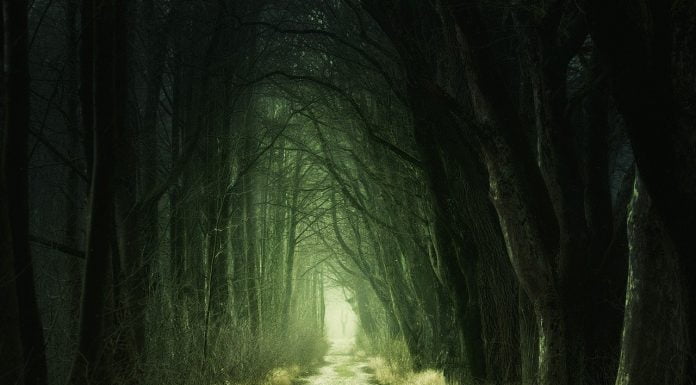 Interpretare vis in care apare frica