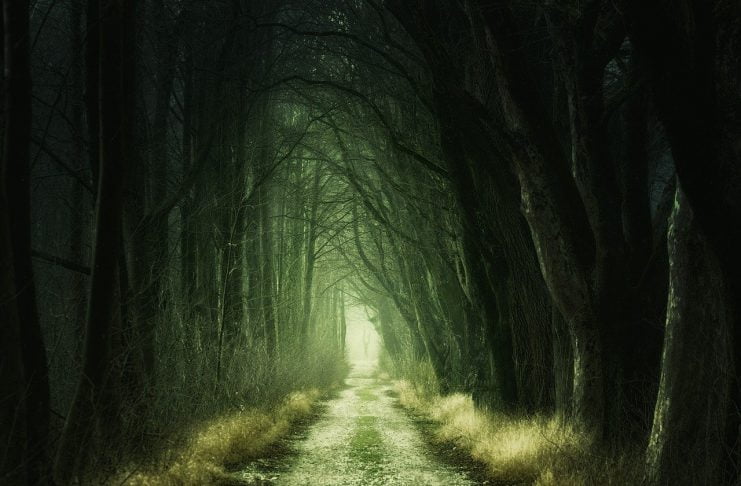 Interpretare vis in care apare frica