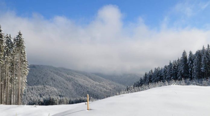 Interpretare vis in care apare frig