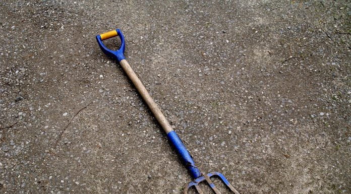 Interpretare vis in care apare furca