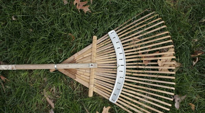 Interpretare vis in care apare grebla