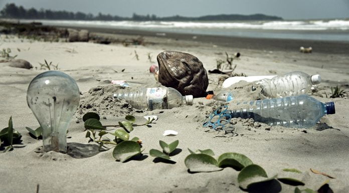 Interpretare vis in care apare gunoi