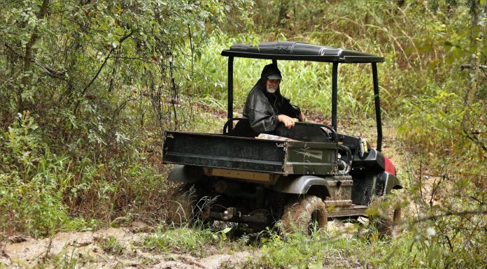 Interpretare vis in care apare impotmolit