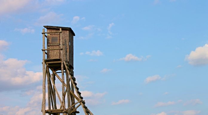 Interpretare vis în care apare inalt