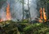 Interpretare vis în care apare incendiu Interpretare vis in care apare incendiu