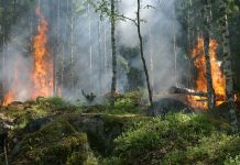 Interpretare vis în care apare incendiu Interpretare vis in care apare incendiu